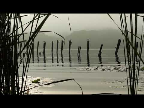 The Hydrogen Sonata, by Benny Nilsson