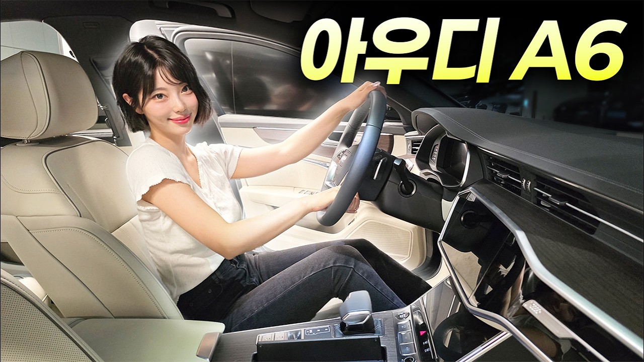 야생마TV