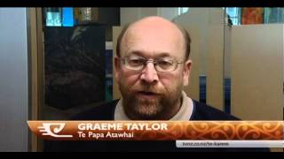 Mutton-birds impacted by radioactivity