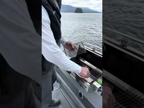 Cleaning Our Magma Boat BBQ