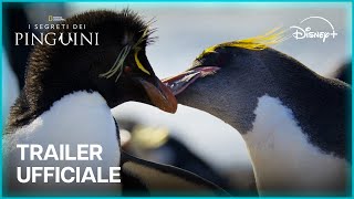 Trailer ufficiale [Sottotitolato]