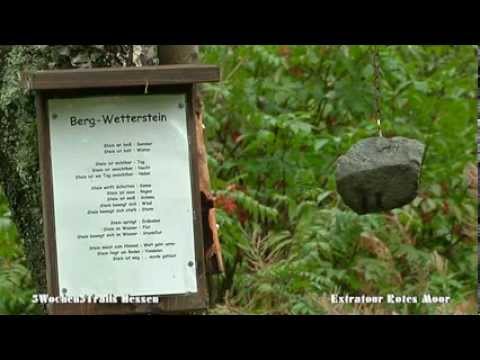 5Wochen5Trails Hessen 9 2013 Extratour Rotes Moor