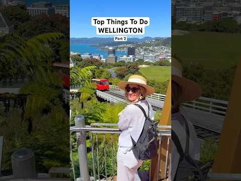 Top Things To Do In WELLINGTON (pt.2)