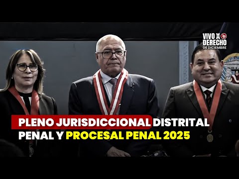 Pleno Jurisdiccional Distrital Penal y Procesal Penal 2025