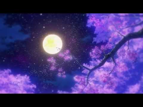 プロモーションムービー 第二弾