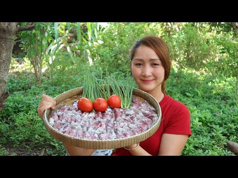 Yummy Squid Cooking With Tomato Recipe - Squid Cooking - Cooking With Sros Video