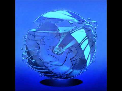 Veks - 10 - Visitors (Born Gifted)