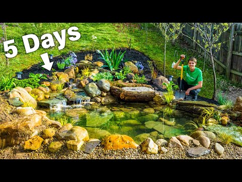 DIY Budget Ecosystem Pond – Solo Build in 5 Days by Hand