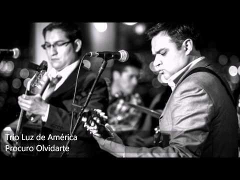 Trío Luz de América - Procuro Olvidarte