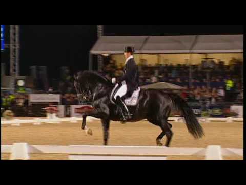 Edward Gal and Moorlands Totilas New Freestyle To Music Experiment