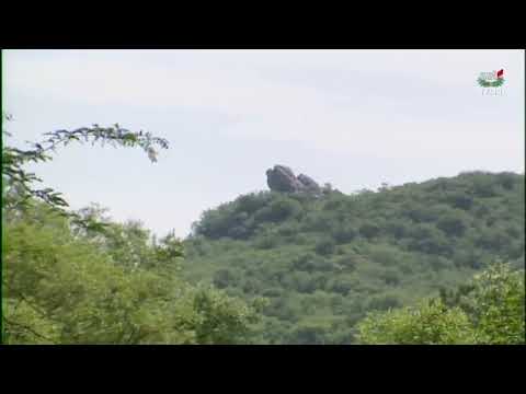 Božidar Ivanišević – Kraj Cetinja selo malo Donji kraj