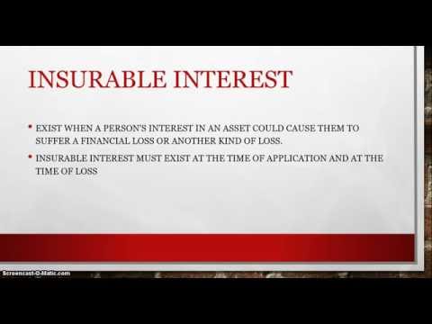 Insurable Interest And The Law 1st Edition Franziska Arnold Dwyer