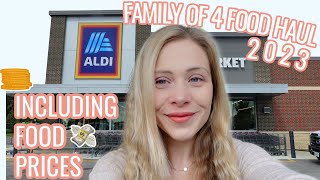 ALDI WEEKLY FOOD HAUL | FAMILY OF 4 FOOD SHOPPING FROM ALDI 2023 | FOOD HAUL UK 2023 UNDER £100!