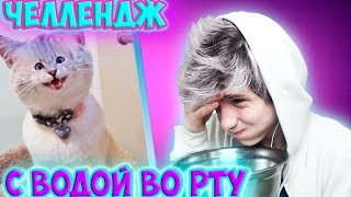 САМОЕ СМЕШНОЕ ВИДЕО В МИРЕ |ПОПРОБУЙ НЕ ЗАСМЕЯТЬСЯ С ВОДОЙ ВО РТУ ЧЕЛЛЕНДЖ|ТЕСТ НА ПСИХИКУ CHALLENGE