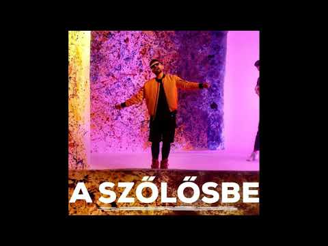 A SZŐLŐSBE - HORVÁTH TAMÁS (Chabey Waters Club Remix)