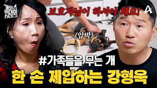 [#클립배송] 거칠게 반항하는 폭군견을 한 손으로 제압하는 강형욱⚡| #개와늑대의시간2 14회