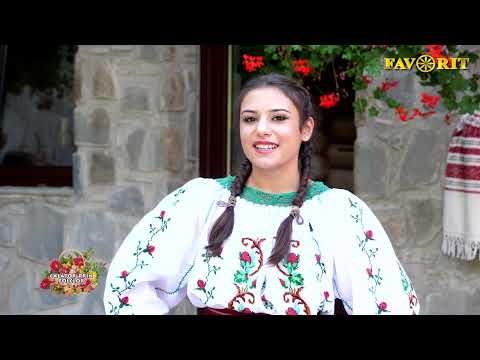 Daria Florinela Ilisescu   cover Angelica Flutur