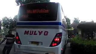 preview picture of video 'Ketika Bus Mulyo Dan Bus Pariwisata Blusukan Menikung Di Jalur Sempit'