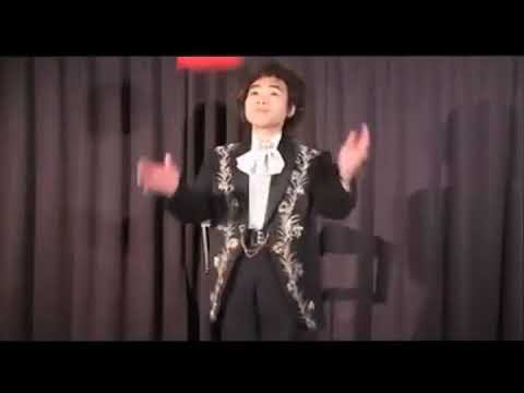 TWIN DOVES IN BALLOON REMOTE CONTROL - DAYTONA MAGIC