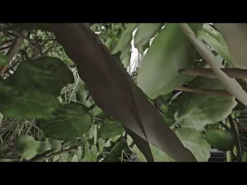 Escape from Tarkov - Clusterf**k firefight on Interchange