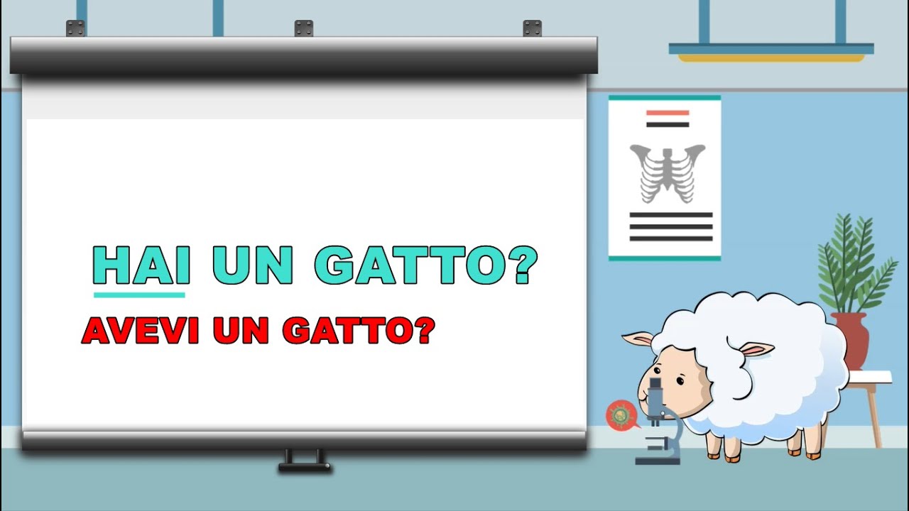 Ho hai ha hanno oppure o ai a anno Trucchi per la scuola primaria