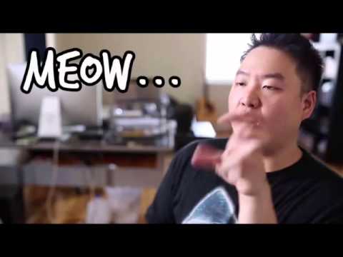 Asian American Masculinity: A Study in New Media Asian American Masculinity: A Study in New Media