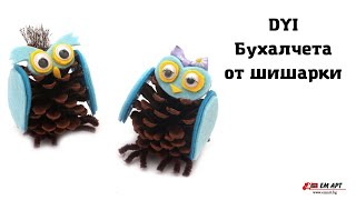 Бухалчета от шишарки