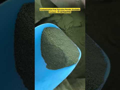 Spirulina powder (1 kg)