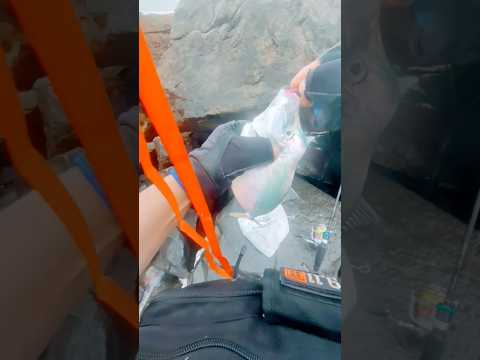 Jornada de pesca Ultralight en Costa Verde , Lima Perú .#costaverde #fishing #spiningultralight