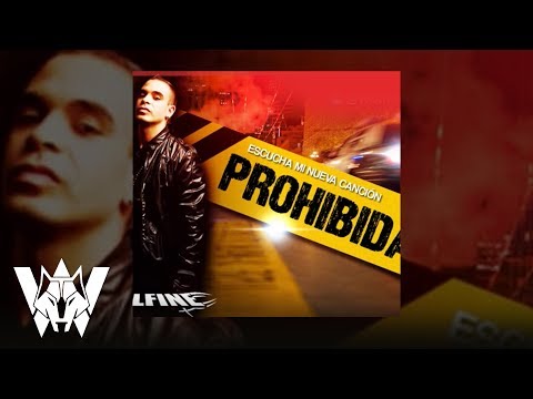 Prohibida, Wolfine - Audio