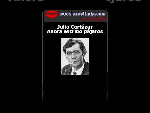 Julio Cortázar - Ahora escribo pájaros #poemas #poesia