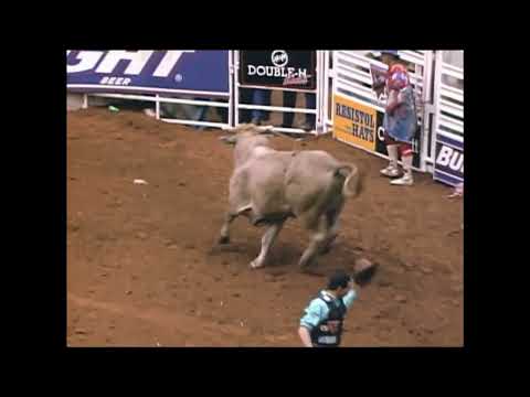 Clayton's Pet bucks Leslie Doyle - 99 PBR Odessa