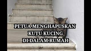 Download lagu PETUA MENGHAPUSKAN KUTU KUCING DI DALAM RUMAH | REMOVE CAT FLEAS FROM HOME mp3 Download lagu PETUA MENGHAPUSKAN KUTU KUCING DI DALAM RUMAH | REMOVE CAT FLEAS FROM HOME mp3