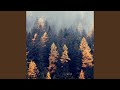 Fire Ecology