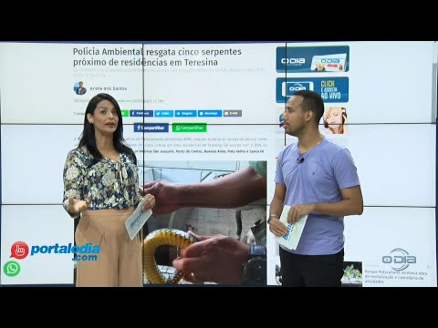 Notícias do Portal O Dia no programa Bom Dia News 27 03 2023