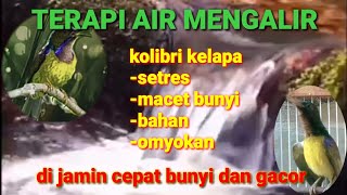 Download lagu Terapi air buat korlap macet bunyi || korlap setres atau bahan omyokan d jamin cepat gacor mp3 Download lagu Terapi air buat korlap macet bunyi || korlap setres atau bahan omyokan d jamin cepat gacor mp3