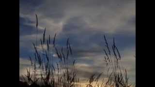 Hey Jude - Jason Faulker - Cover