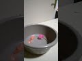 Jumping Water Balloon Asmr Sound Satisfying Vedio Short