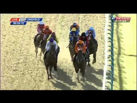 Wolowitz- Unibet 3 Year Old Sprint All-Weather Championships Conditions Stakes (2016)