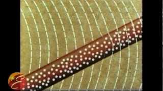 Magnetic Induction in a Wire