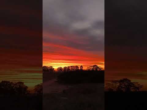 por do sol em são Miguel do Guaporé Rondônia #automobile #vidanaroça