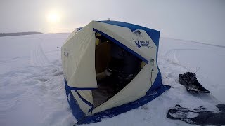 Polar bird 4t long
