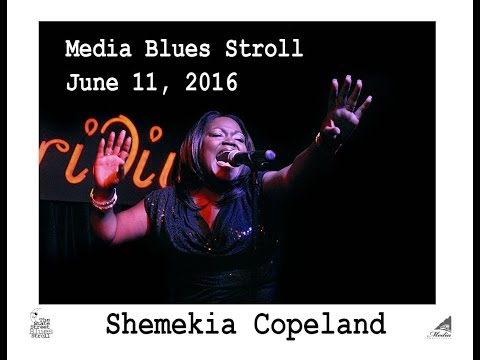 2016 State Street Blues Stroll Line-up