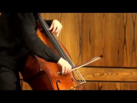 Nicholas Walker  - Bach Allemande from Suite BWV 1008 in D minor on Double Bass