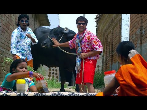 खेसारी लाल यादव की भैंसिया की सुहागरात खेसरी सांड के साथ | Khesari Lal Yadav Best Comedy