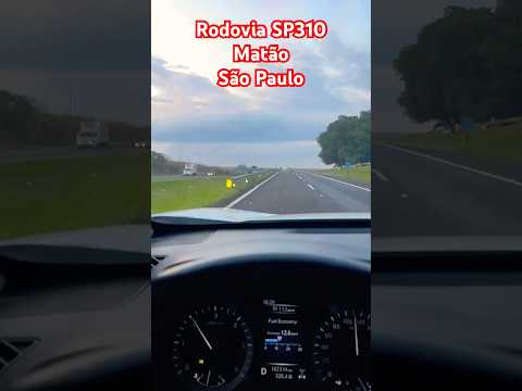Matão, São Paulo, Rodovia SP310 #saopaulo #matão #shorts #viagem #turistandoemsp #tour #turist #like