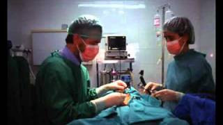 Sala de espera Los Tigres del Norte 2009