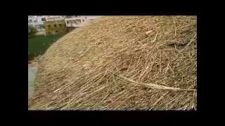 preview picture of video 'Cost of Thatch Roof in India'