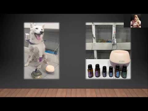 DoTerra: Uso de Aceites Esenciales en Mascotas (Dra. Celia Erazo)