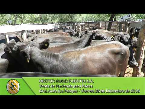 28-12-18 - Venta de Hacienda para Faena - Nestor Hugo Fuentes S.A. - Gral.  Acha